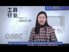 CAEC 表面磨き車